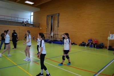 Bild 95