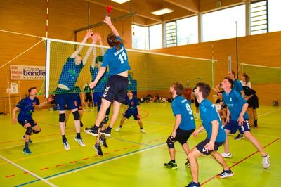 Bild 51